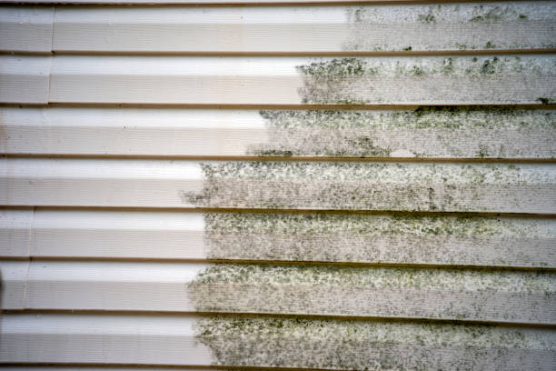 Best Garage Cleanout  in Throop, PA